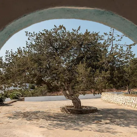Διαμέρισμα 16, Ein Inseltraum In Unberuehrter Παραλία Αλικό